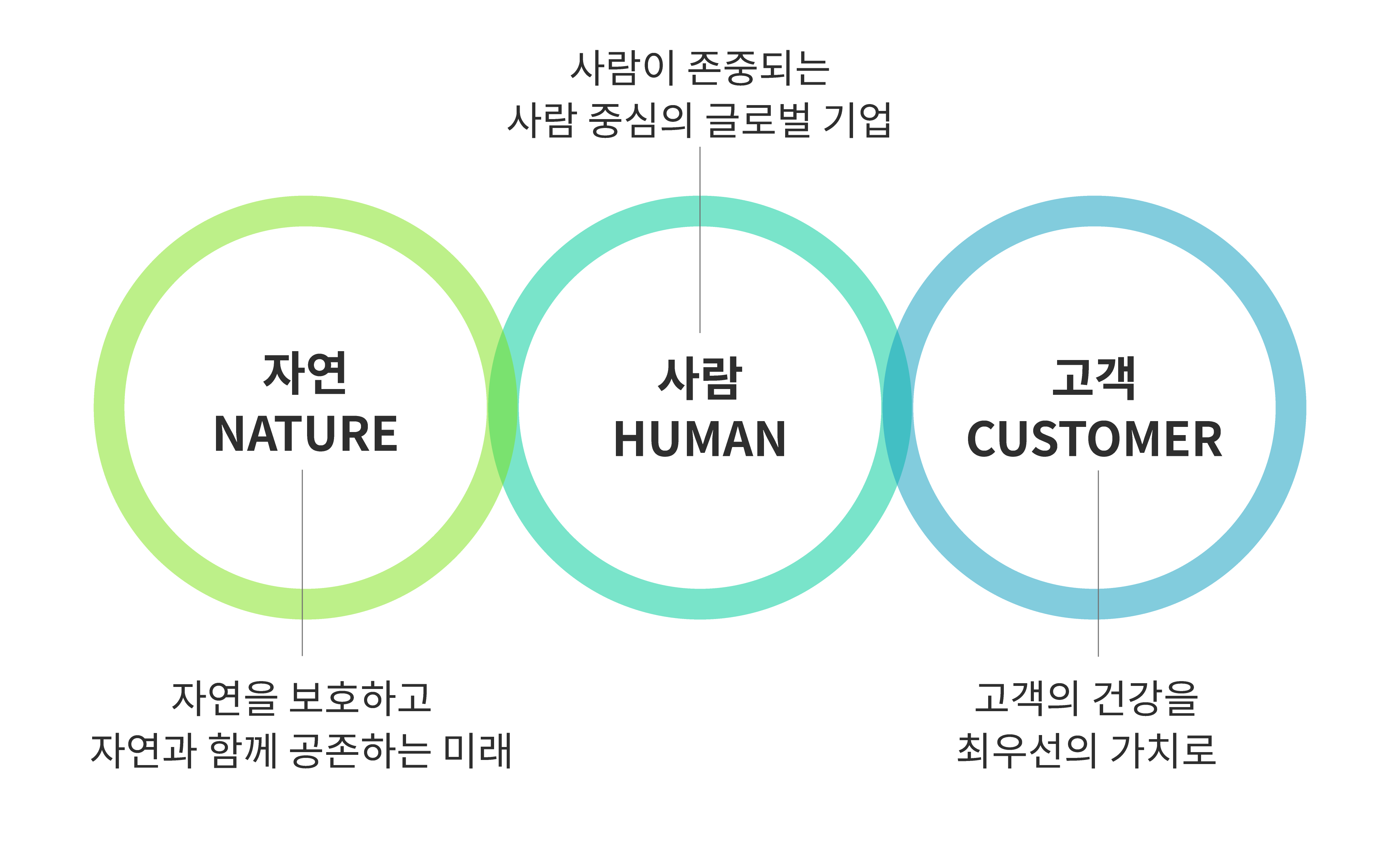 대지 1@3x 대지 1@3x