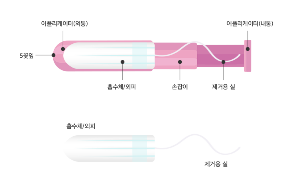 탐폰의 구조
